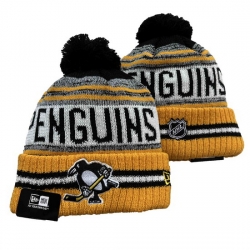 Pittsburgh Penguins NHL Beanies 002