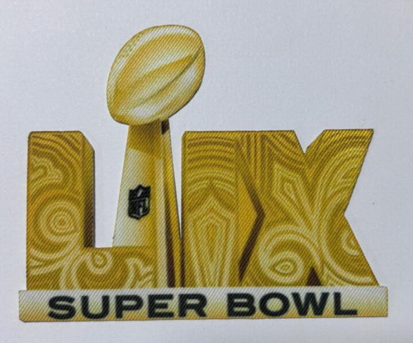NFL Philadelphia Eagles Super Bowl LIX Gold patch Biaog